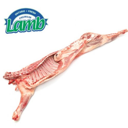 Ontario Lamb安省本地小羔羊半羊20~22磅,11.99/磅 称重计价 多退少补(送羊头一个)